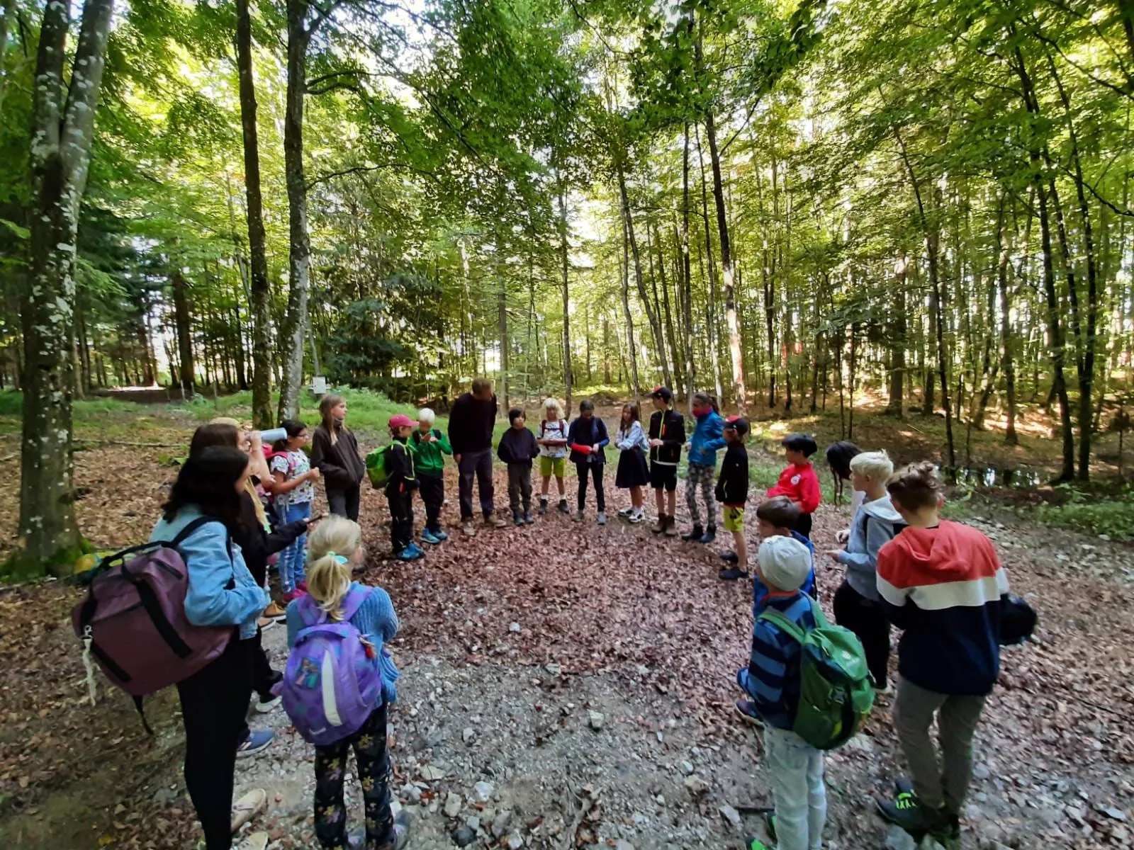 Kinder der Freien Schule Salzburg im Kreis im Wald